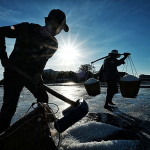お清め塩 どこで買える