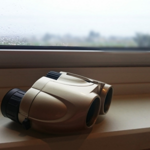 オペラグラス どこに売ってる