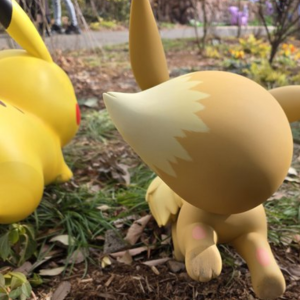 ポケパークカントーのチケットどこで買える