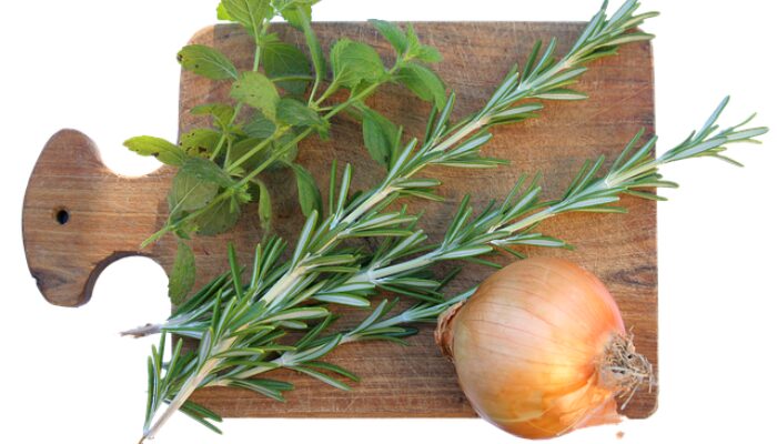 ローズマリー どこで買う